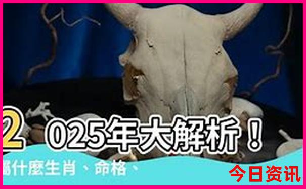 适合带娃去玩的地方